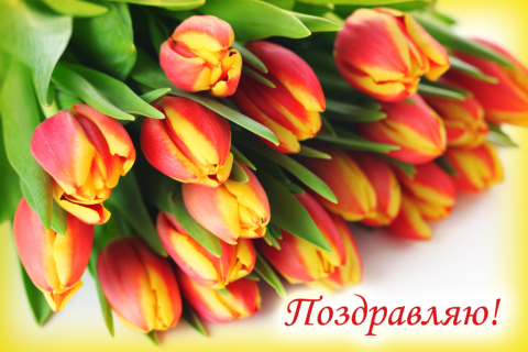 Поздравительная открытка красно-желтые тюльпаны на конверте